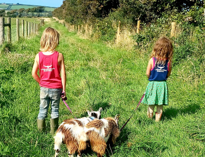 Alpaca Walkies Shop