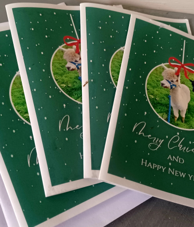 Christmas cards