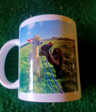 Mugs - Leo and Loki