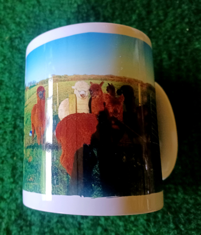 Mugs -all our walking boys